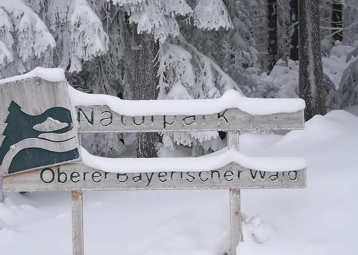 Fellner Furth im Wald